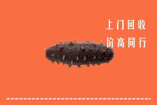 三亚市吉阳区回收海参