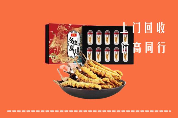 收购行情：三亚市吉阳区回收虫草